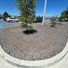 Professional-Mulch-Installation-Fast-Clean-Affordable 2
